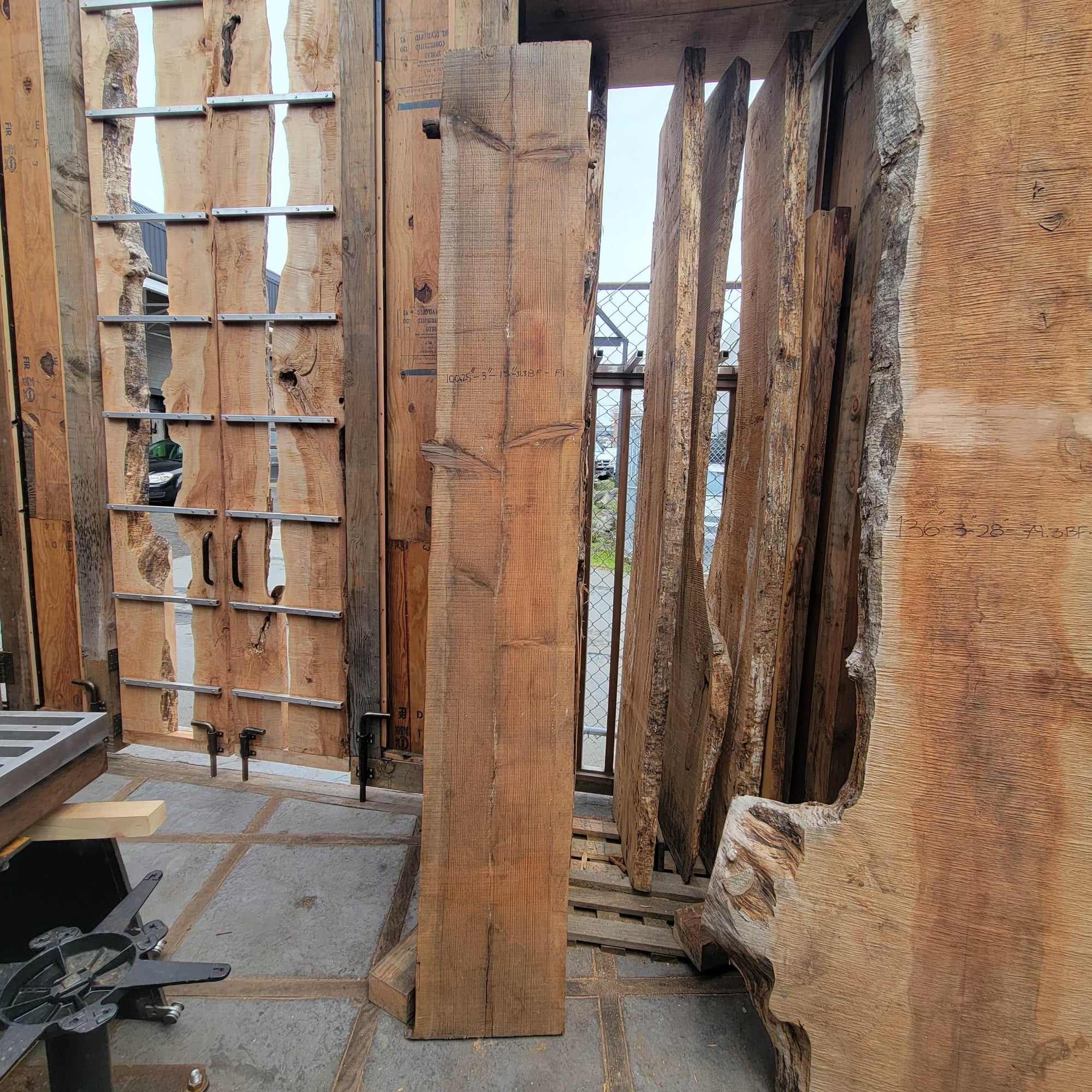 Douglas Fir